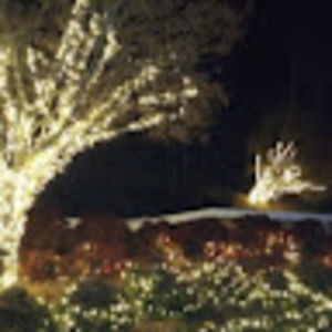 Meet your Posher, Joanne